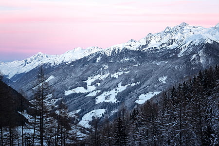 mountains covered with snow and surrounded by trees thumbnail
