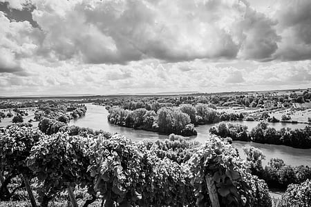 black-and-white, nature, sky, water thumbnail