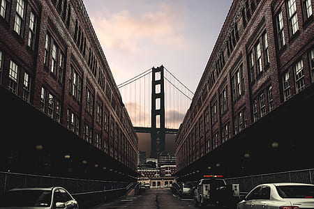 cars on road in between brown concrete building during daytime thumbnail