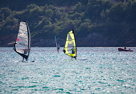 Gray and Yellow Sails thumbnail
