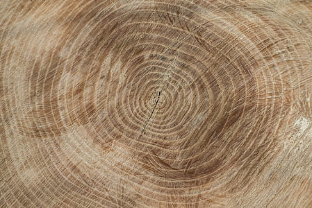 brown wooden slab thumbnail