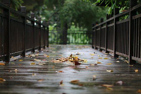shallow focus photography of bridge railings during daytime thumbnail