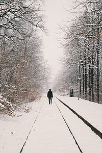 cold, snow, landscape, nature thumbnail