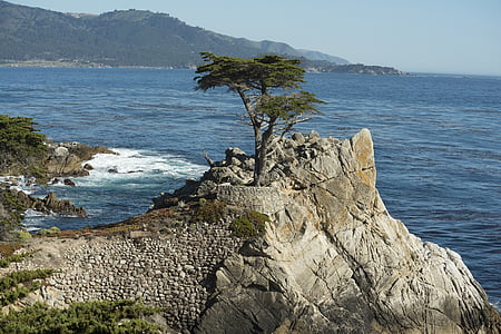 green leaves trees on top of cliff overlooking body of water at daytime thumbnail