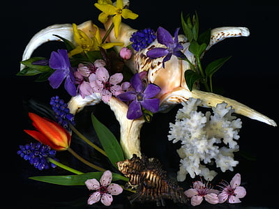 assorted-color petaled flowers thumbnail