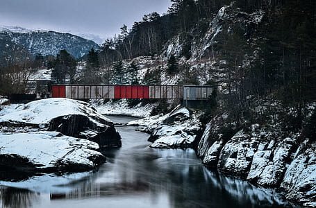 bridge beside trees thumbnail
