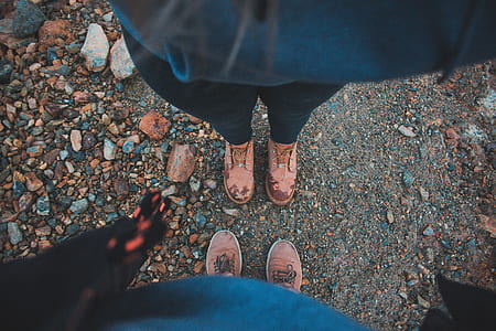 person wearing brown shoes thumbnail