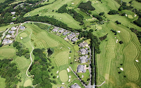 houses surrounded by green leafed trees thumbnail