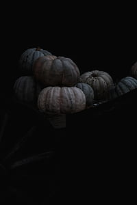 dark, pumpkin, night, food thumbnail