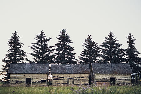 three grey wooden houses thumbnail