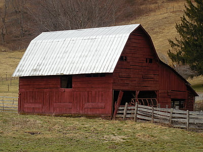 brown and gray wooden house against green tree thumbnail