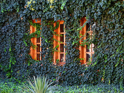 orange framed glass window frame close thumbnail
