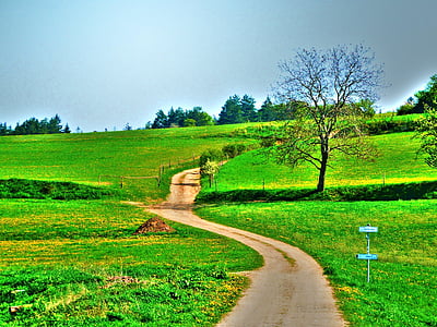 green grass thumbnail