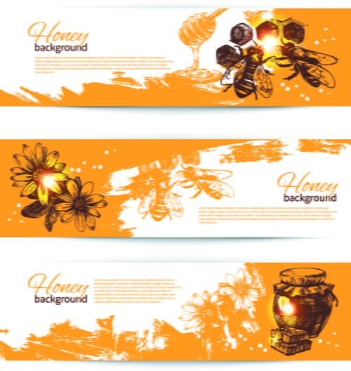 Vintage Honey Banner Design Vector 02 Ai Eps File Free Graphics