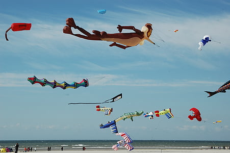 assorted-shape-and-color balloons on beach thumbnail