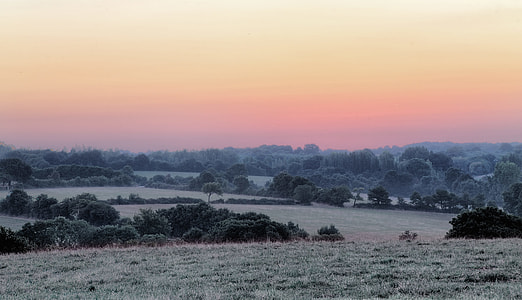 green grass field and tree view during golden hour thumbnail