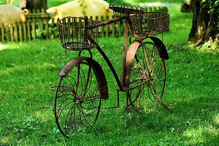 black and brown cruiser bicycle outdoors thumbnail