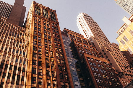 low-angle photography of high-rise buildings thumbnail