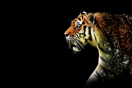tiger painting thumbnail