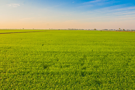 grass field photography thumbnail
