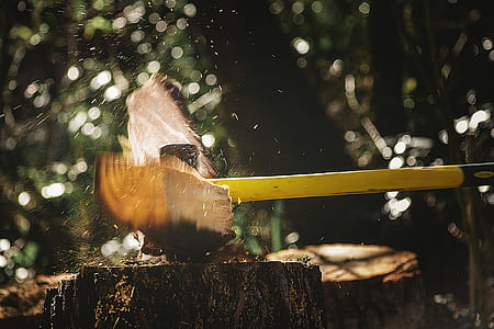 selective focus photography of axe chopped wood slab thumbnail