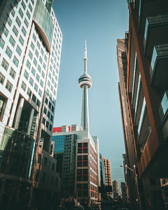 low angle photography CN tower during daytime thumbnail