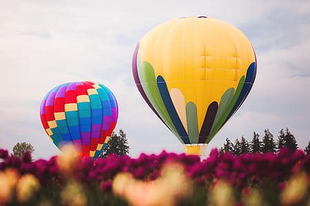 Two Assorted Color Hot Air Balloons thumbnail