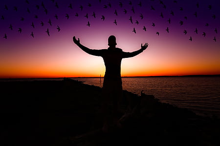 person standing beside body of water thumbnail