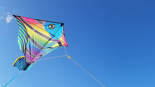 multicolored fish kite thumbnail