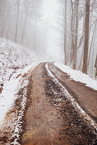 snowy road thumbnail