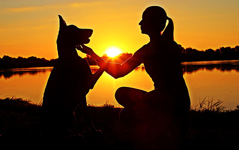 silhouette of woman and dog near body of water during sunset thumbnail