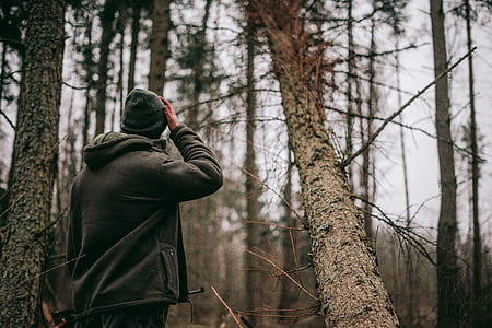 person standing near bare trees thumbnail
