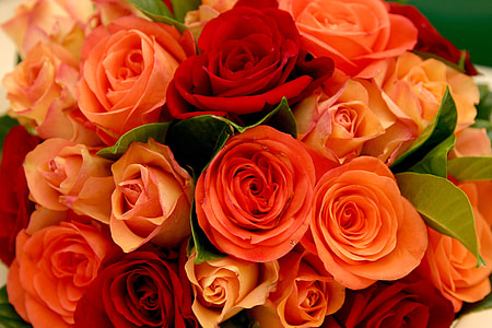 orange Rose bouquet thumbnail