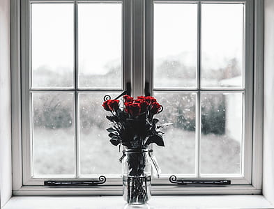 clear glass vase with red rose near window thumbnail