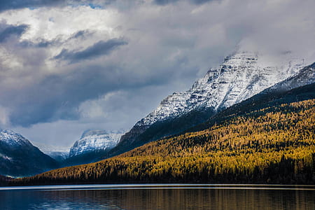 calm body of lake near yellow plants and glacier mountain under white cloud blue skies thumbnail