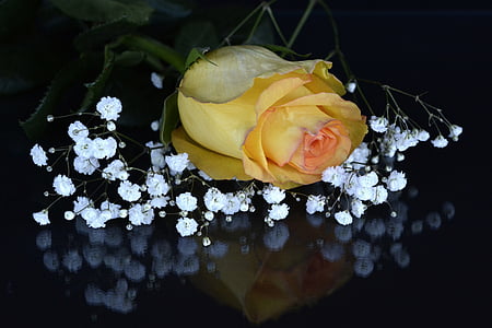 yellow rose on top of black surface thumbnail