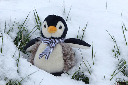 penguin plush toy on snow thumbnail