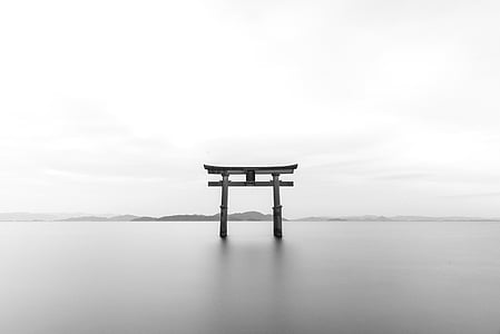 grayscale photography of wooden arche thumbnail