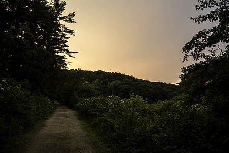 Hiking path at sunset at Stewart Lake County Park thumbnail