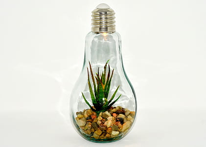 clear glass bulb terrarium glass thumbnail
