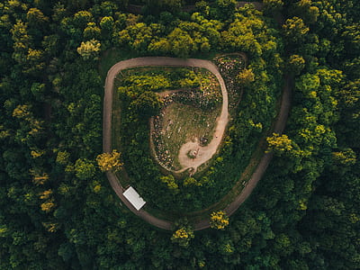 aerial view of spiral road surrounded by trees during daytime thumbnail