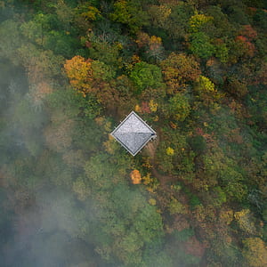 aerial photography of gray house on forest thumbnail