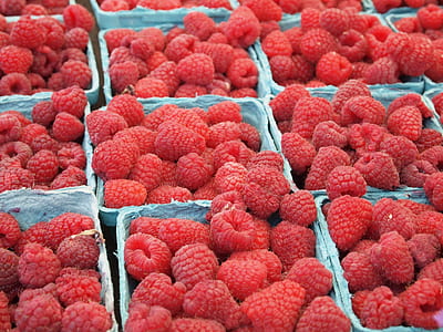 raspberries trays thumbnail