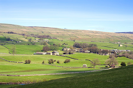 Oakmere Home Advisors, The Orchards thumbnail