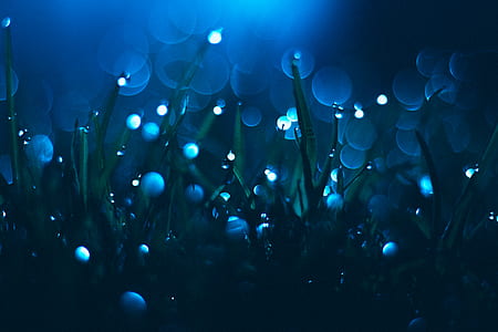 green grass with lights effects thumbnail