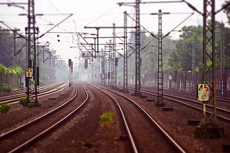 railway beside trees at daytime thumbnail