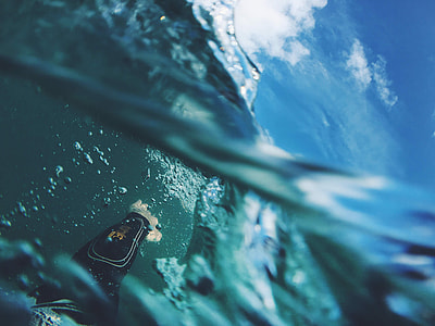 underwater photography of diver thumbnail