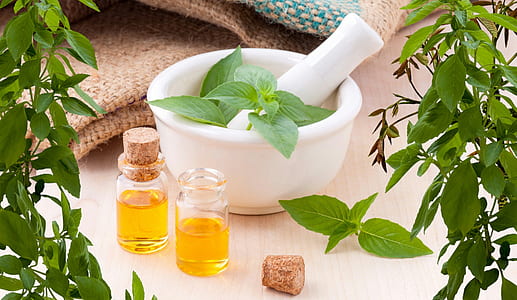 leaf plant on white mortal and pestle thumbnail