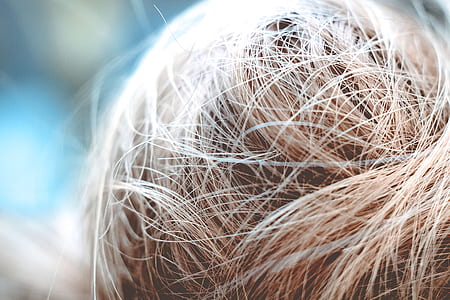macro photography of blonde hair thumbnail