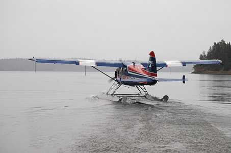 blue and white plane boat on body of water thumbnail